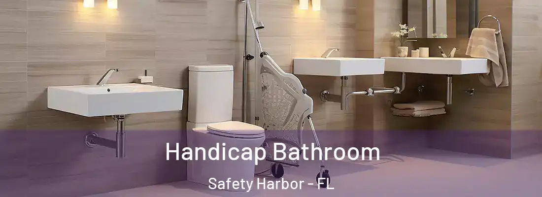  Handicap Bathroom Safety Harbor - FL