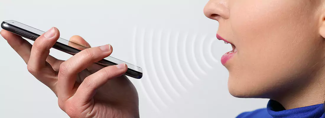 Residential and Commercial Voice Recognition Access Solutions in Safety Harbor, FL